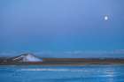 Setting full moon during snow geese migration at Freezeout Lake near Choteau, Montana, USA. Art Print